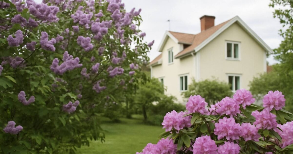 Upptäck rätt blommande buskar för din trädgård! Från syrener till rhododendron - expertråd om val, skötsel och design för svenska förhållanden 2025.